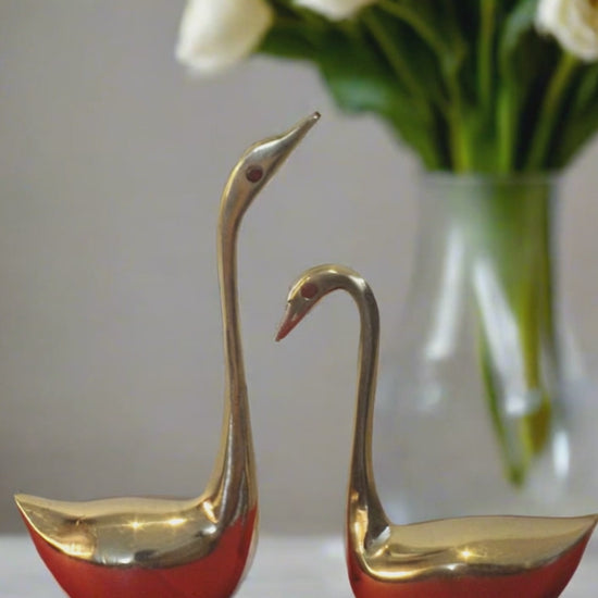 Brass Swan Set Home Decor Video